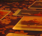 Tarot Readings